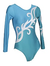 Long sleeve Gymnastics Leotard with the sleeves in Silver and the sides in Royal and the leotard in Sky Blue