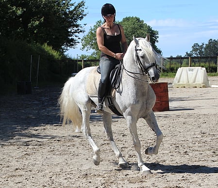 To view more click here