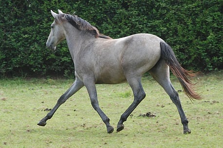 To view more click here