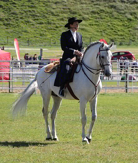 To view more click here