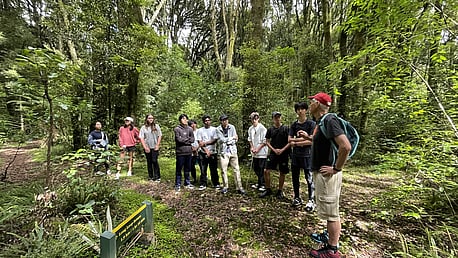 Mohi Bush walk, Maraetotara