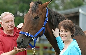 Michael Martin and Susan Archer pictured with the champion mare they bred SUNLINE.
