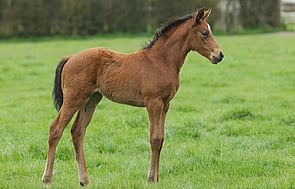 Preferment - Keep Smiling