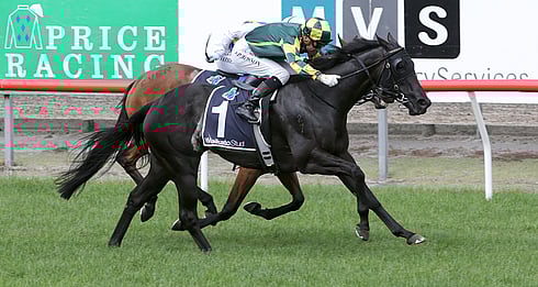 Dragon Queen - winner of the Entain - NZB Insurance Pearl Series Lisa Chittick Plate (1400m) - Photo: Race Images