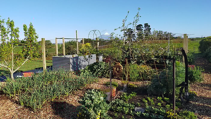 Productive Winter Garden