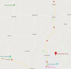 Map to Goldbush from Hawera