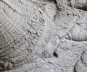 MORTAR - White | Other