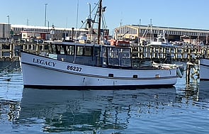 Inspections  - Renewal, intermediate, shaft, sea trials, pre-purchase and insurance reports.