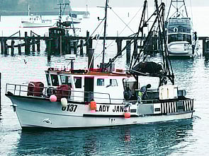 M O S S - We can provide support for entering MOSS for the first time and assist with your MTOC application.