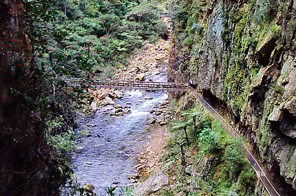 Recreation & Activities