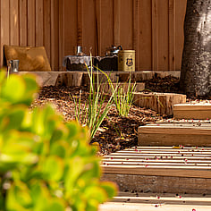 Outdoor learning spaces at Little Moas Auckland daycare