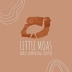 Little Moas | Branding Tile for instagram