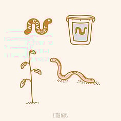 Composting and sustainability at Little Moas Auckland ELC | Natural + organic