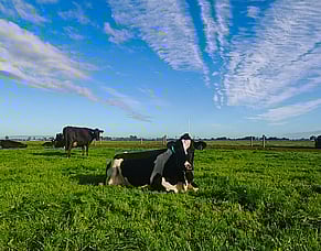 HubWatch - 20 March 2026