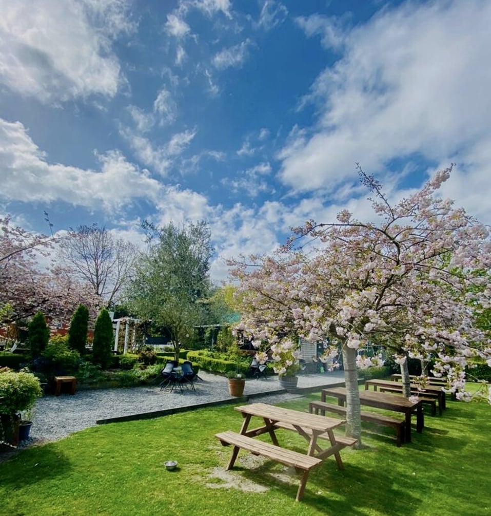Immerse yourself in nature's embrace as you enjoy the open-air ambiance of our enchanting outdoor dining area.