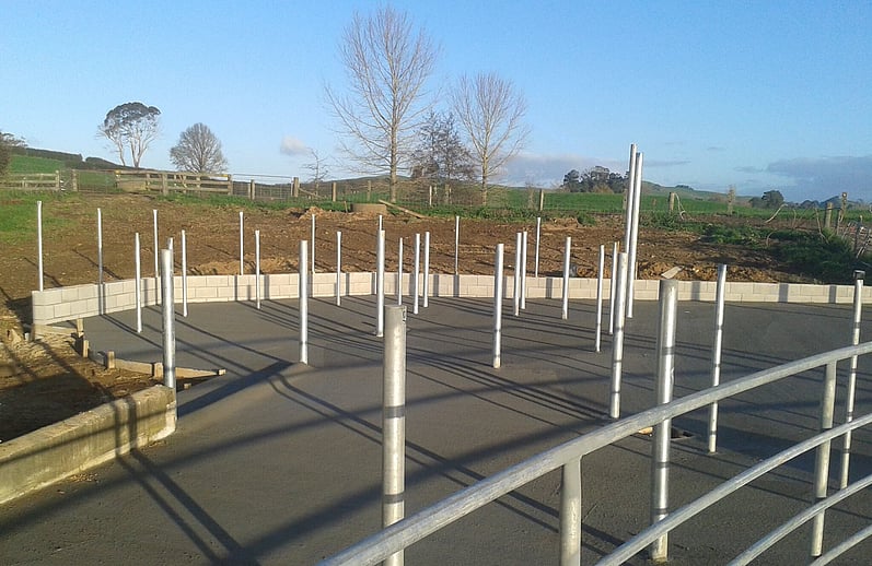 Cowsheds & Milking Facilities