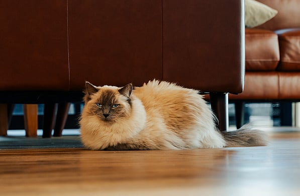 Retail & Hospitality Spaces