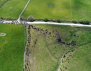 Paddock history, open/close paddocks and welcome to the dark side...