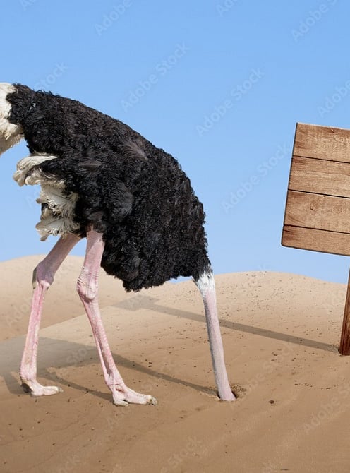 We help you plan ahead so you always know your cash position and can make confident decisions.