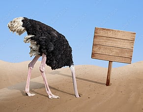 I need to understand my business