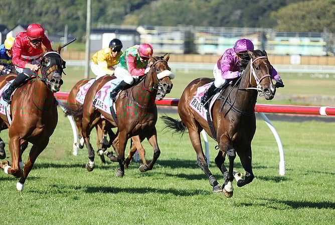 Platinum Attack has the situation in hand as he holds out Navigator (red colours) at Trentham. - Photo: Peter Rubery (Race Images)