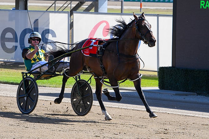 Captains Knock - Photo: HRNSW/Brett Atkins
