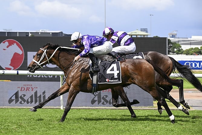 Aeliana lands a richly deserved second Group One victory in Saturday’s A$1 million Ranvet Stakes (2000m) at Rosehill. - Photo: bradleyphotos.com.au