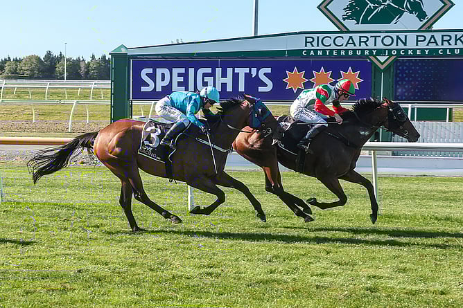 Inflamed holds out a game Pour The Wine at Riccarton. -   Photo: Race Images South