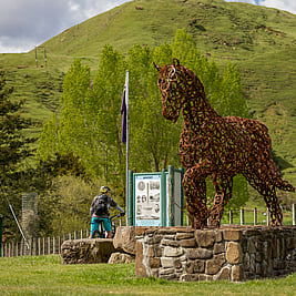 Mountains to Sea Connector | Mountains to Sea