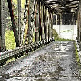 Timber Trail Connector | Mountains to Sea