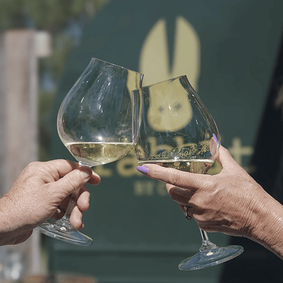 Rabbit by Coney Wines