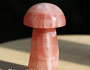 Understanding Sensitivity vs Suggestion