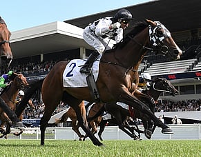 Top WFA honours await Tuxedo
