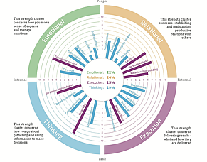 What is Strengthscope - and what makes it different?