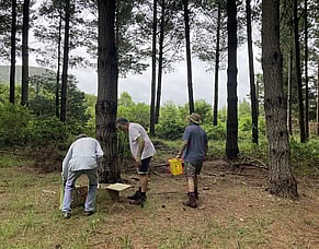 KCE and OKPMG trapping results show growing impact at Lake Kuratau