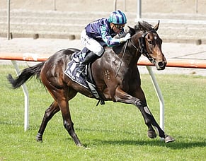 Mega Maiden Bonus Caps Big Weekend for Rich Hill and Nearco Stud