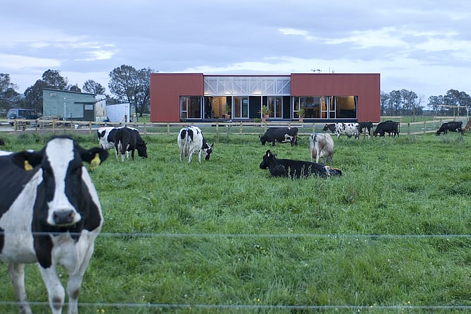 The Red Shed, Photographed by Emily Andrews