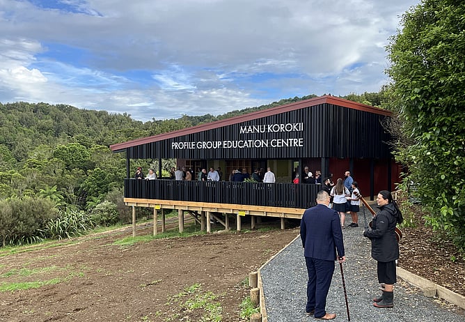 Manu Korokii at Sanctuary Mountain Maungatautari