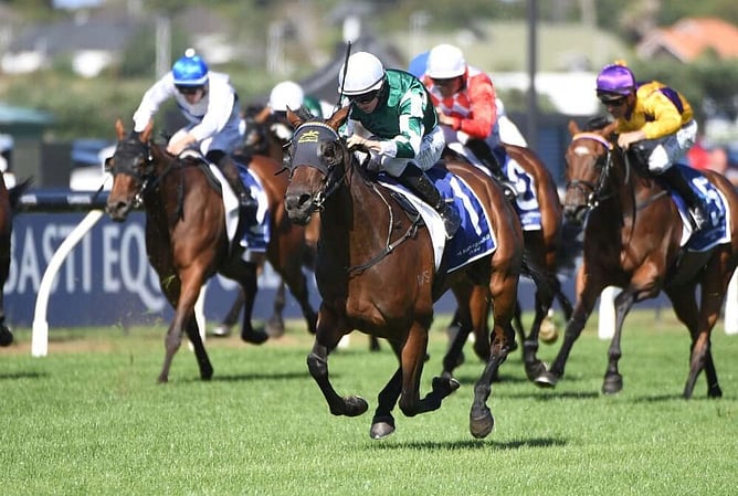 New Zealand Oaks winner Ohope Wins will contest the Gr.1 Vinery Stud Stakes (2000m) on Saturday.  - Photo: Race Images (Kenton Wright)