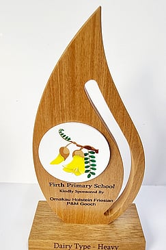 Customised awards and trophies - NZ