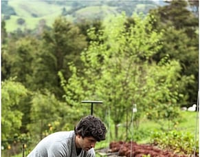 Waikato Kai Challenge Update