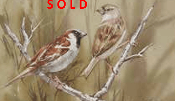 SOLD!