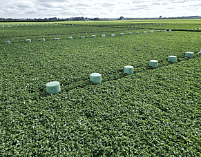 HubWatch - 27 March 2026