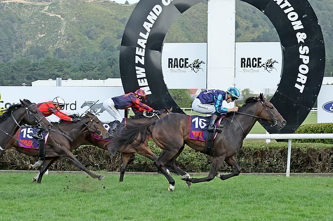 She’s A Dealer winning the Gr.1 Listen Live on Sportnation.nz New Zealand Thoroughbred Breeders’ Stakes (1600m). - Photo: Peter Rubery (Race Images)
