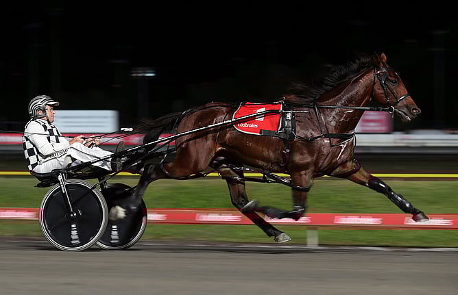 Leap To Fame winning last night - Photo: Ross Stevenson