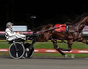 Leap To Fame wins again and primed for Cambridge