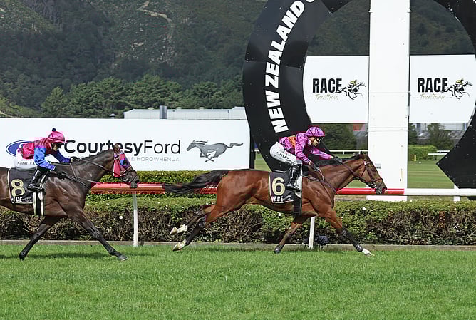 He's A Doozy winning the Gr.2 Intowin.co.nz City of Palmerston North Awapuni Gold Cup (2100m).  - Photo: Peter Rubery (Race Images)
