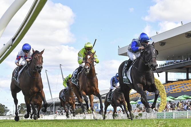 Belle Cheval took out the Gr.1 Vinery Stud Stakes (2000m) at Rosehill by the barest of margins. - Photo: bradleyphotos.com.au