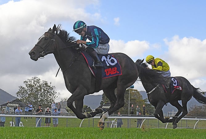 She's A Dealer winning the Gr.1 New Zealand Thoroughbred Breeders&rsquo; Stakes (1600m).  - Photo: Peter Rubery (Race Images)