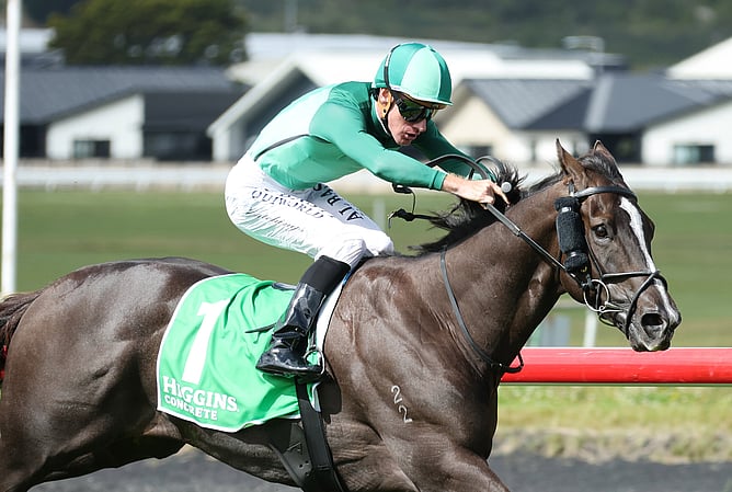 Rory Hutchings riding Geneva to victory in Saturday's Gr.3 Manawatu Classic (2100m) at Trentham. -  Photo: Peter Rubery (Race Images)